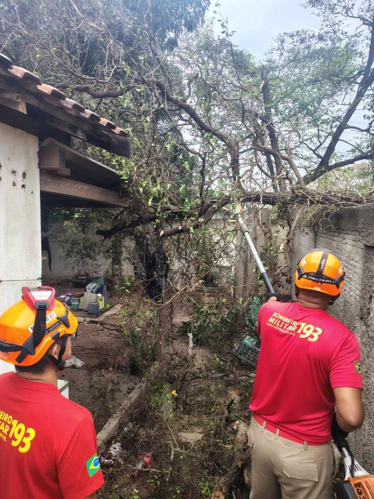 Corpo de Bombeiros remove sete árvores após tempestade provocar estragos em bairros de Corumbá nesta sexta-feira