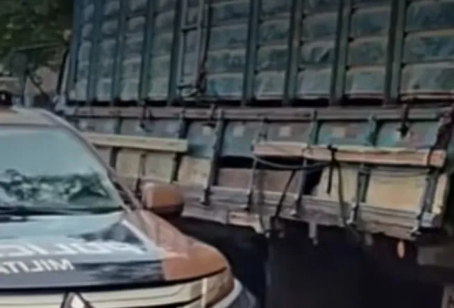 Grupo utilizava Fiat Uno como batedor no transporte do rebanho; suspeitos foram para a Polícia Civil
