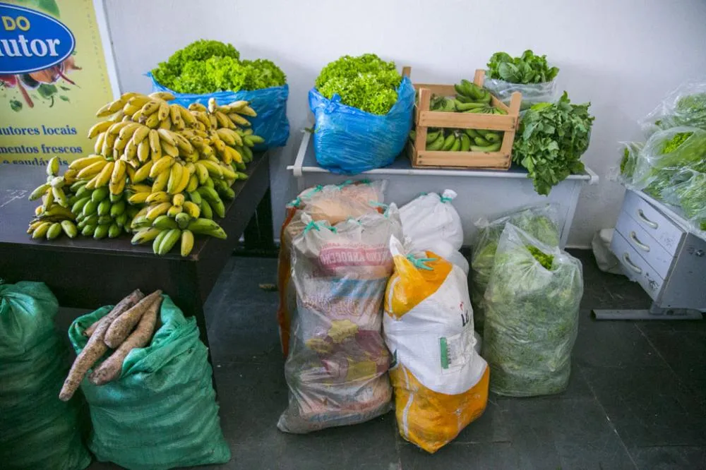 Programas de aquisição de alimentos da agricultura familiar e indígena impulsionam produção rural no município